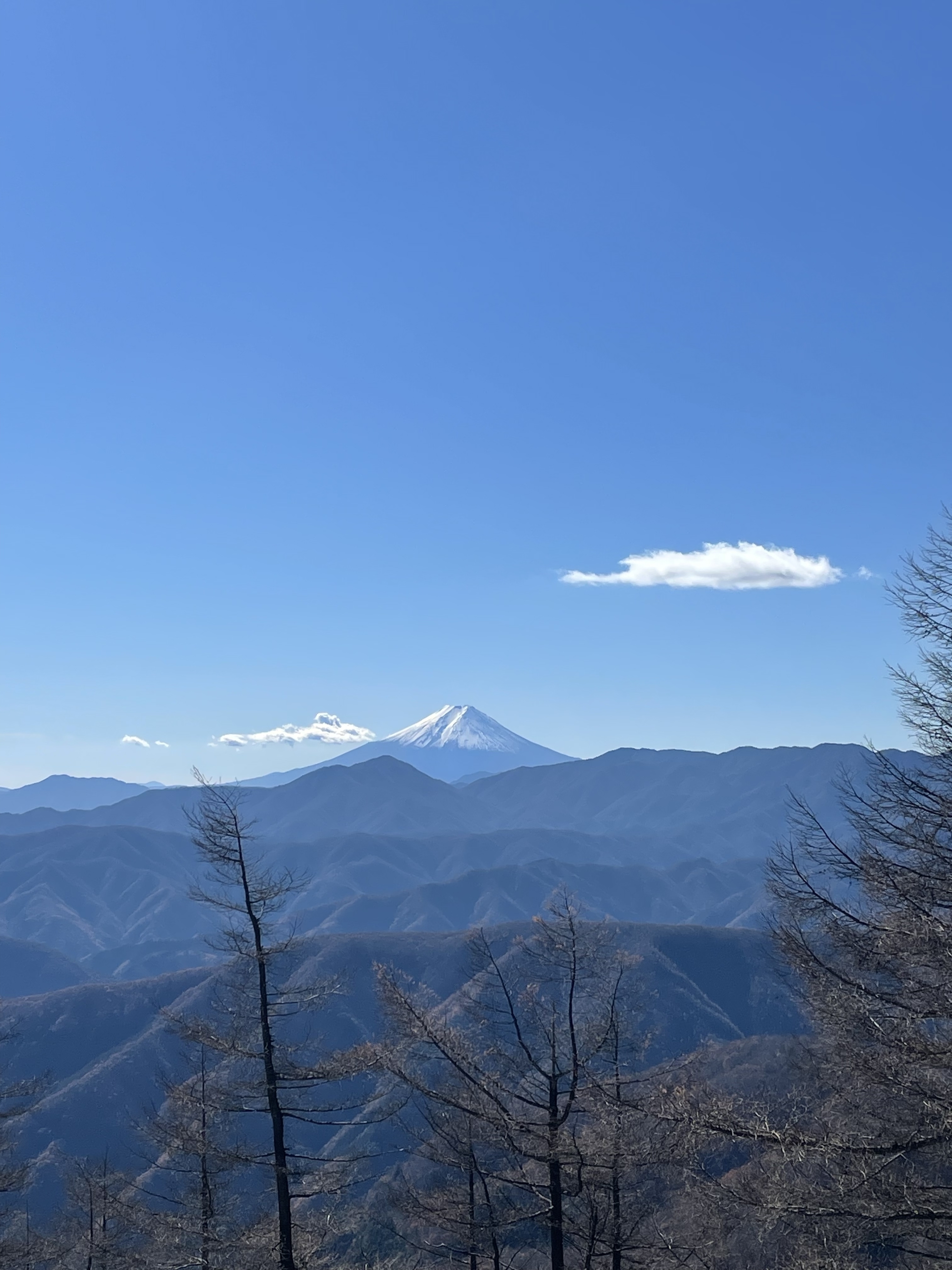富士山